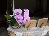 Fleurs sur table ancienne pensée du jour