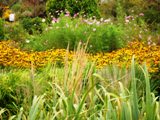 Les jardins Moore pensée du jour